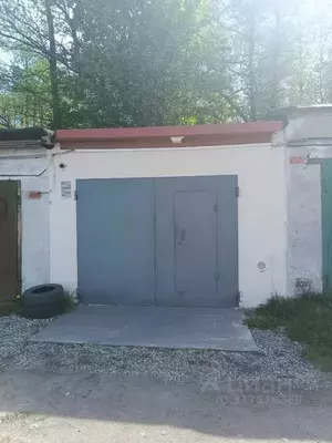 Фото к объявлению #22106939