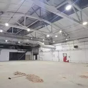 Фото к объявлению #22230098