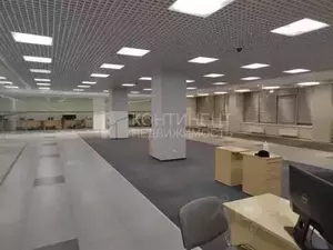 Фото к объявлению #19774479