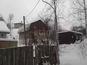 Фото к объявлению #22248004