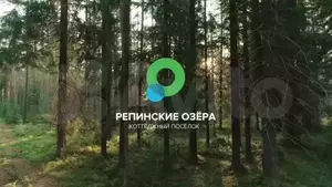 Фото к объявлению #21000249