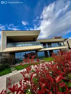 Фото к объявлению #22208524