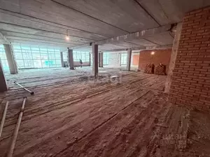 Фото к объявлению #22065135