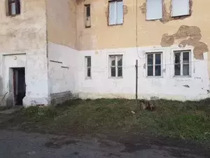 Фото к объявлению #20242725