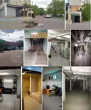 Фото к объявлению #19886704