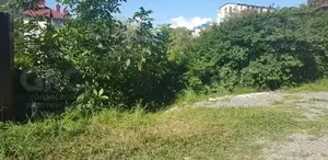 Фото к объявлению #21624575