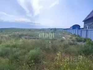 Фото к объявлению #20682975