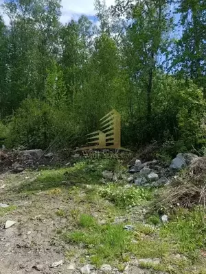 Фото к объявлению #22281726