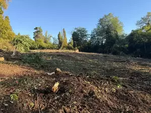 Фото к объявлению #22197315