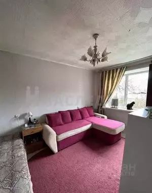 Фото к объявлению #20348208