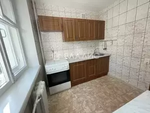 Фото к объявлению #22055268