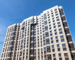 Фото к объявлению #22252468