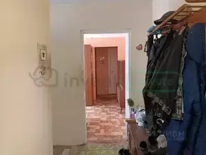 Фото к объявлению #22193733