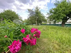 Фото к объявлению #22074574