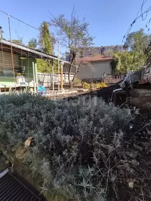 Фото к объявлению #22189967