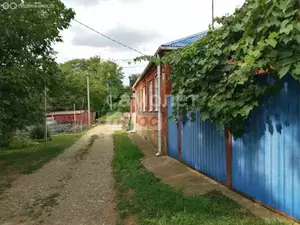 Фото к объявлению #21005968