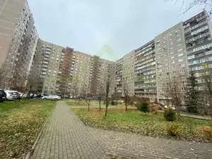 Фото к объявлению #22226431