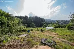 Фото к объявлению #21223390