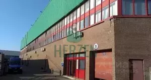 Фото к объявлению #19760526