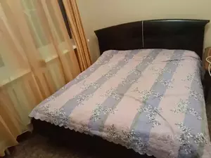 Фото к объявлению #22252916