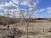 Фото к объявлению #