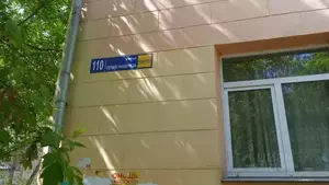 Фото к объявлению #21933870