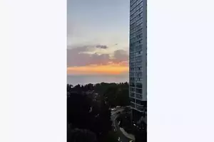 Фото к объявлению #22149863