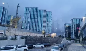 Фото к объявлению #20383763