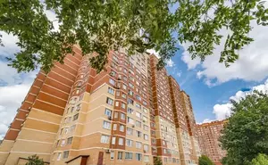 Фото к объявлению #22289628