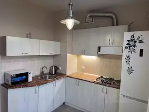 Фото к объявлению #22153178