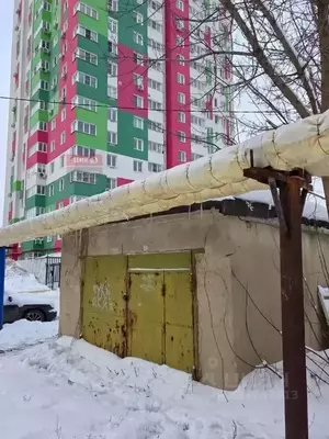 Фото к объявлению #22264270
