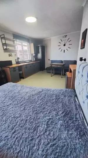 Фото к объявлению #21927508