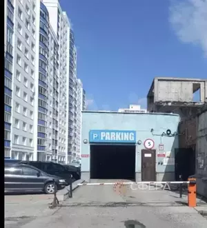 Фото к объявлению #21264730