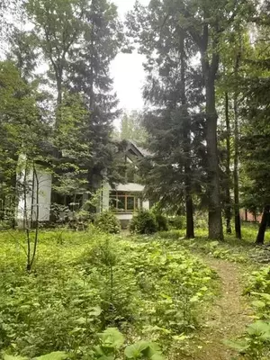 Фото к объявлению #20419230