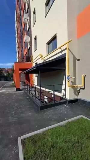 Фото к объявлению #22195630