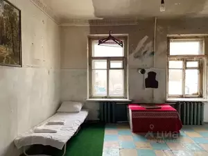 Фото к объявлению #21329056