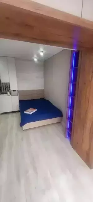 Фото к объявлению #22273561