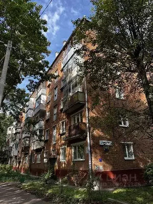 Фото к объявлению #21231085