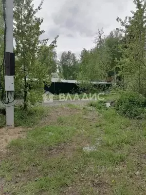 Фото к объявлению #20945546