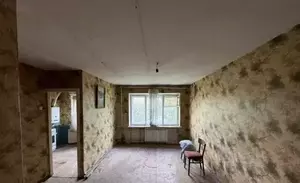 Фото к объявлению #20265083