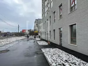 Фото к объявлению #22283076