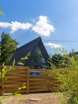 Фото к объявлению #22103525