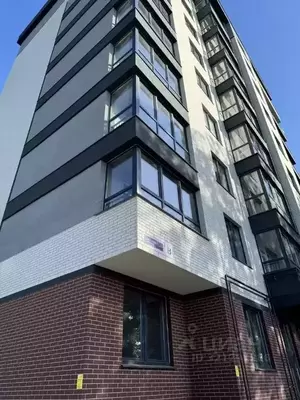 Фото к объявлению #22161349