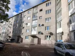 Фото к объявлению #21578097