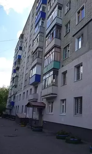 Фото к объявлению #21001758