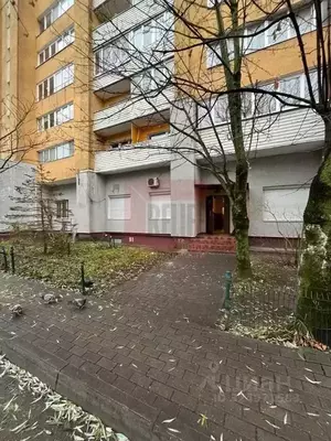 Фото к объявлению #22226328