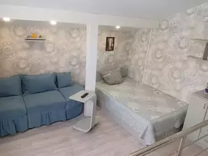 Фото к объявлению #22198214