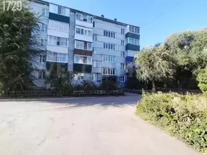 Фото к объявлению #21199848