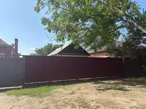 Фото к объявлению #22159469