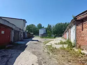 Фото к объявлению #20236290